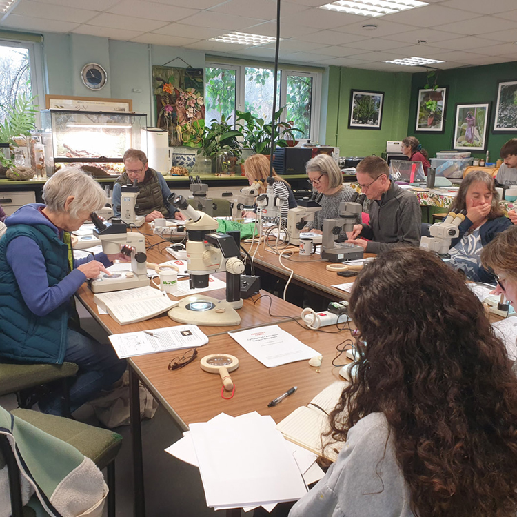 Gwynedd AC Marine Taxonomy Roadshow 