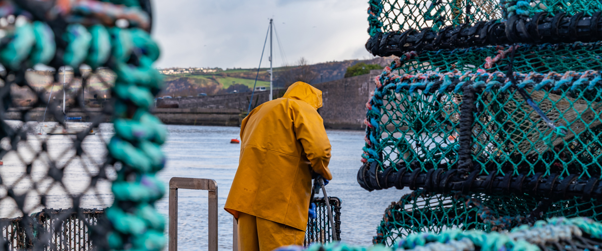 Marine Resilience Challenge Fund