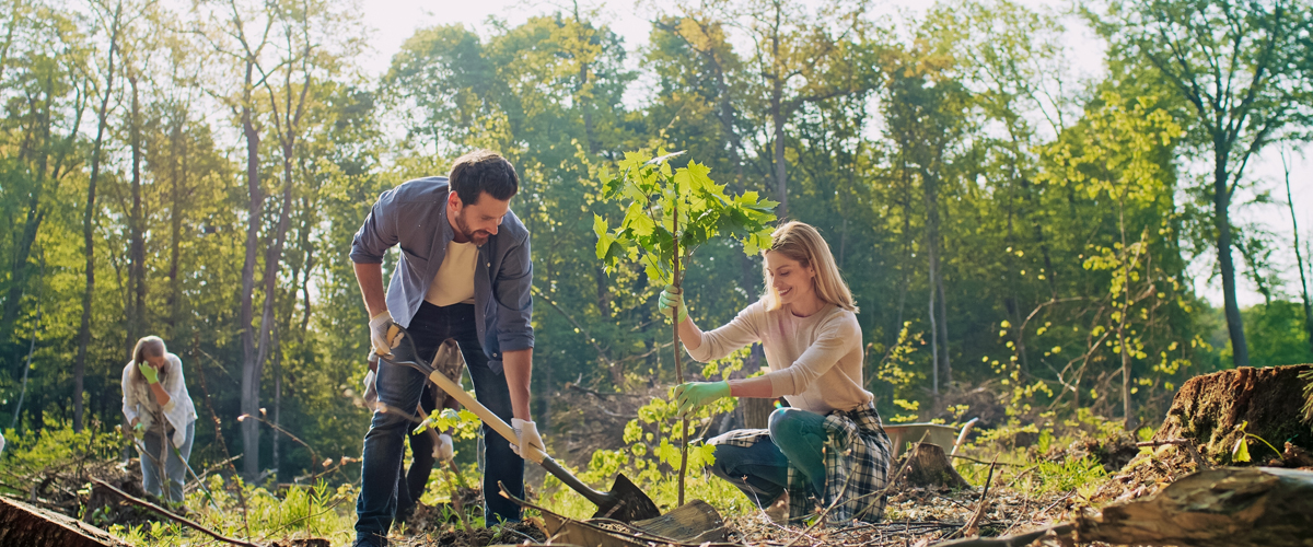 Mannau Natur Cymunedol a Choridorau Gwyrdd Sir Fynwy 