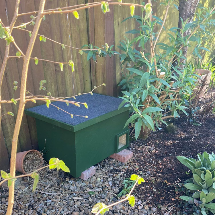 Nest box installation in a new supportive garden, May 2021