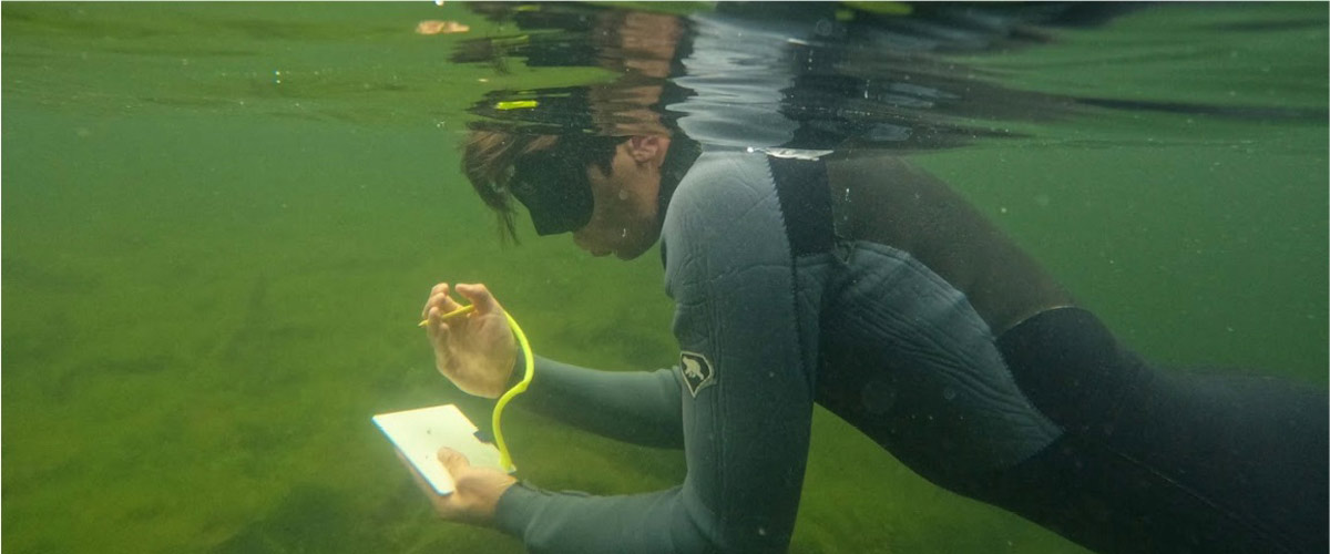 Snorkelling for Nature