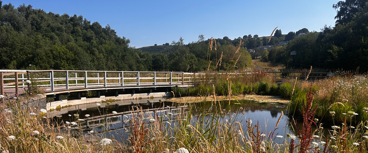 Taf Bargoed Wetland 