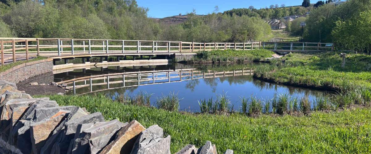 Taf Bargoed Wetlands