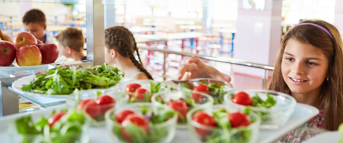 Welsh Veg in Schools