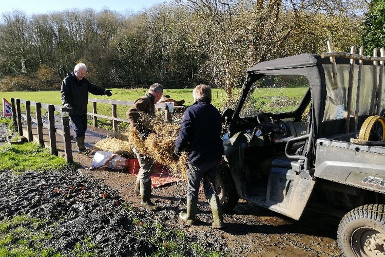 Volunteers helping to plant wetland areas